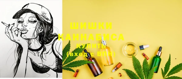ешки Бронницы