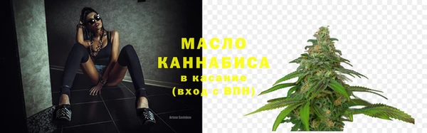 МДПВ Верхний Тагил