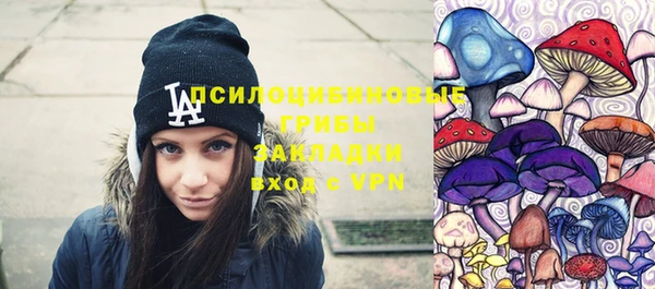 МДПВ Верхний Тагил