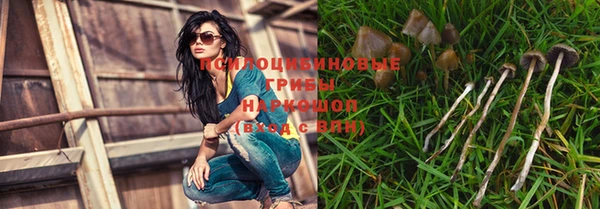 ешки Бронницы